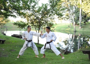 Kung Fu a karate – czym się różnią i którą wybrać?